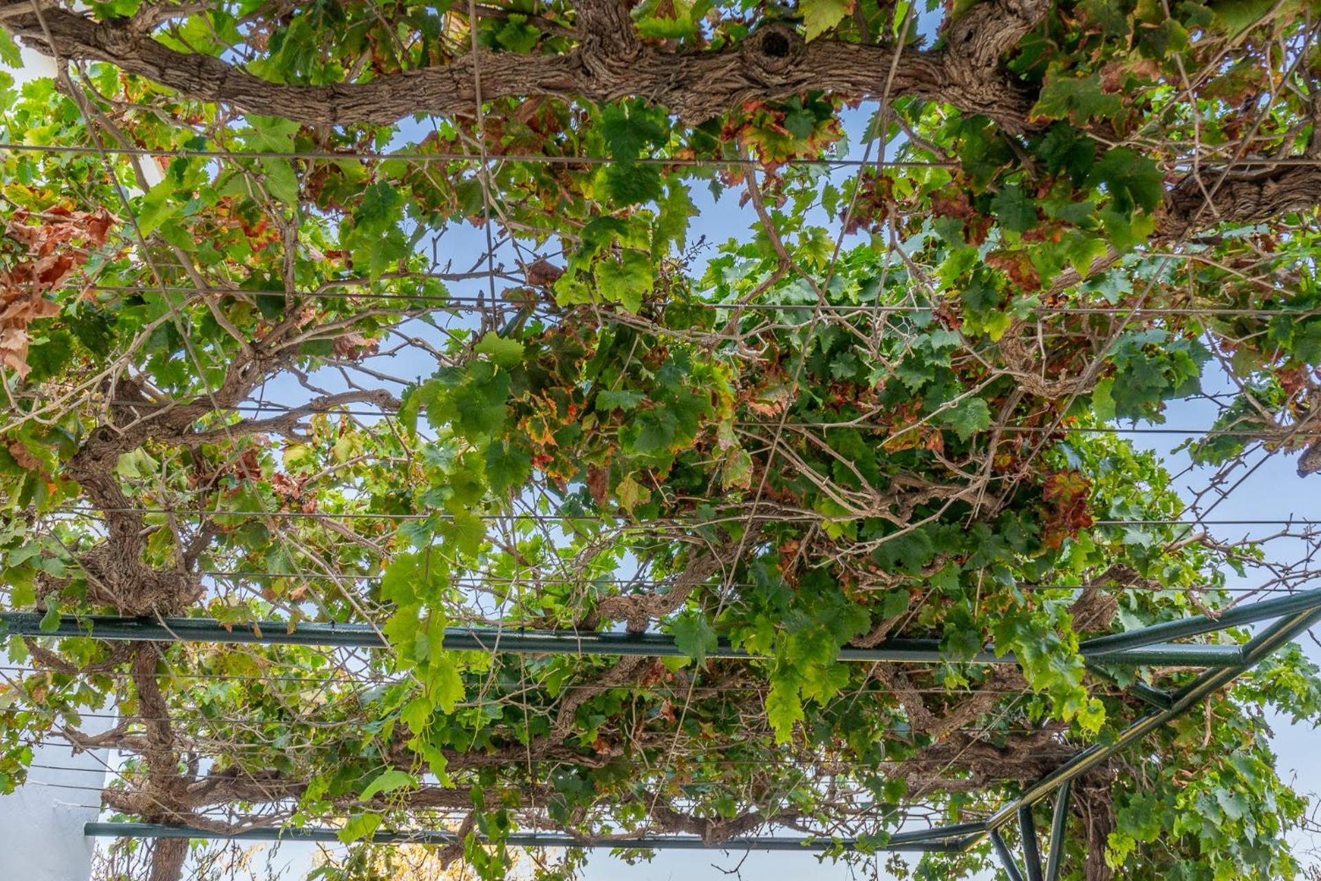 Paredones III Casa Rural Caminito Del Rey Álora Zewnętrze zdjęcie